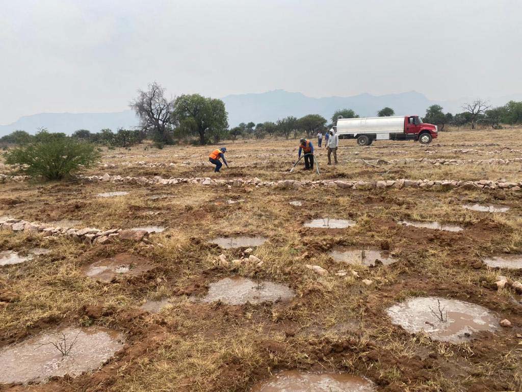 PRAMSEI: Proyectos ambientales en etapas constructivas y operativas (72)